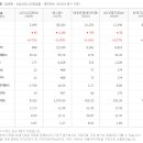 (주)나이스홀딩스