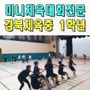 경희인성체육관 | 중학교체육대회 이벤트업체 레크레이션 전문 미니체육대회 경북 체육중 울산
