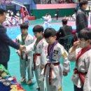 성웅태권도 이미지