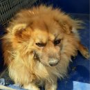 국사봉로 이미지