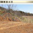 시세보다 저렴한 당진시 대호지면 토지매매 단필지 임야 계획관리 20만원대 당진대산고속도로 수혜지 이미지