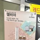 셀비아시흥