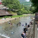 청정계곡 | 서울 근교 계곡 추천 양주 장흥계곡 직접 다녀온 후기 (주차장/ 물놀이 포인트)