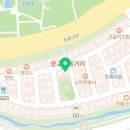 디디펫 수원강아지분양 이미지