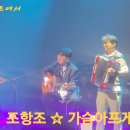 조항조☆가슴아프게(아코디언 최경식) 이미지