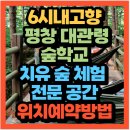 가족이 함께 떠나는 숲체험 & 놀이 - 숲속에서 만나는 동화 나라 | 6시 내고향 평창 대관령 숲학교 숲 놀이터 치유 숲 체험 전문 공간 이안의숲 대관령캠퍼스(+위치 예약방법)