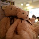 테디베어뮤지엄 이미지