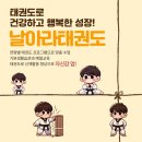 혁신 태권도 이미지