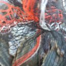 장자도섬이야기하우스 이미지