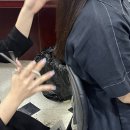마담고