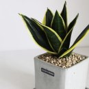 모현동물병원 이미지