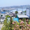 구룡포 일본인 가옥거리 이미지