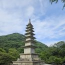 범어사 | 부산 금정구 가볼만한곳 범어사 방문 후기