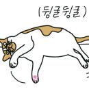 육부장 이미지