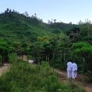 오름요양병원 이미지