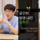 풀뿌리한의원 네이버블로그