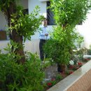 한아름민박 이미지