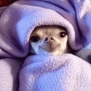 온유지스테이 이미지