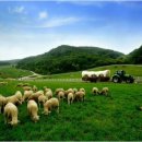 지온목장 이미지