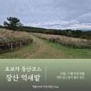 대천 | 장산 억새밭 등산코스 초보자도 쉬운 대천공원 솔직 후기