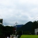 카페2046 Daum카페