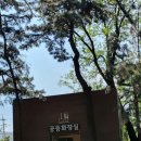 송도 솔밭 유아숲체험원 이미지