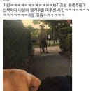 캥거루
