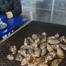 원조낙지한마당 | 사천굴맛집의 원조 사천굴구이 원조굴구이한마당 후기