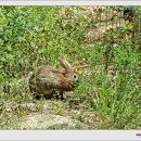 초곡2리마을회관 이미지