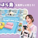나옴소프트(주) 루리웹 뉴스보드