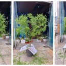 수심검도관 이미지