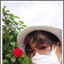 오월의 여왕