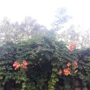 부동산금고공인중개사사무소 이미지