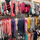 황제애견 이미지