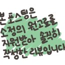 야외에서 즐기는 맛있는 피자 화도읍 맛집 알디피자 방문후기