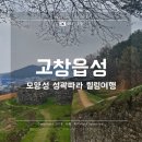 죽림4로가로수 | 고창 모양성(고창읍성) : 성곽따라 걷는 힐링여행 Apr.2025
