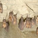 진안-진안-비상-19 이미지