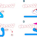 동산약국 이미지