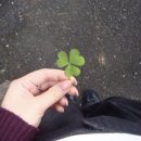 동방숯불가든 | 영원