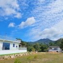 팔공포레스트 이미지