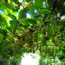 운교농장 이미지