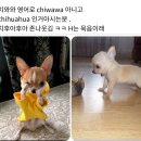 고요의계절 이미지