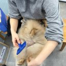 개목욕탕 이미지