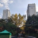 야탑천 | 야탑천과 여수천 산책후기 (221029, 1116)