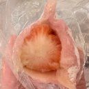 유에이치스위트 센트럴 서울 | 강남 신세계 스위트파크 한정선, 신메뉴 요거트 &amp; 만년설 찹쌀떡 후기