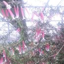 에바다농장 이미지