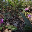 대관령도서관 이미지