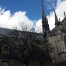 센느약국 이미지