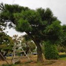 하루농장 이미지