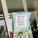 적거농장 | 한컵새싹농장:-) 무순키우기 가 이렇게 쉬워?1일차